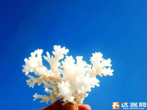 马尔代夫算什么 中国西沙群岛才是世外桃源 马尔代夫算什么 中国西沙群岛才是世外桃源