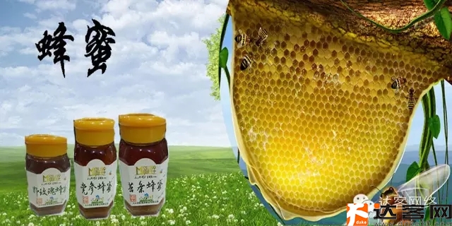 4.webp